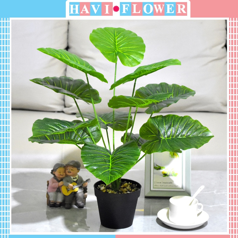 Cây Giả - Cây trầu bà giả xanh 12 lá đẹp, cao 54 cm trang trí không gian gia đình, văn phòng