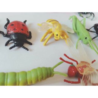 Mô hình côn trùng safari