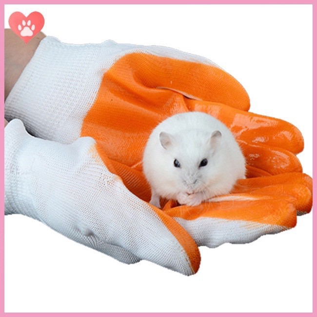 Găng tay bắt hamster