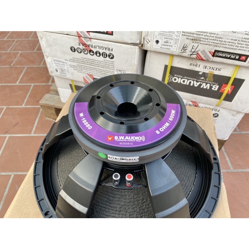 Bass sub 50 từ 220 coil 100, chính hãng BW W18880