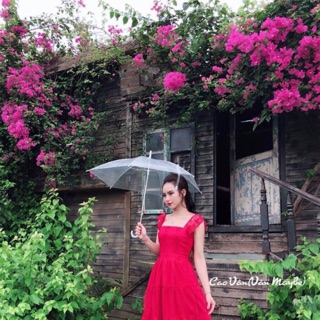 Váy đỏ hàng qc