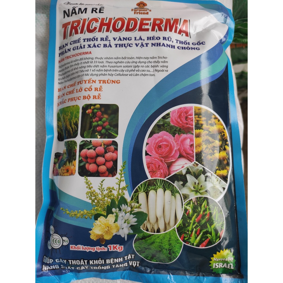 Chế phẩm sinh học trichodema chống thối rễ, vàng lá, héo rũ (rãi gốc ủ phân)