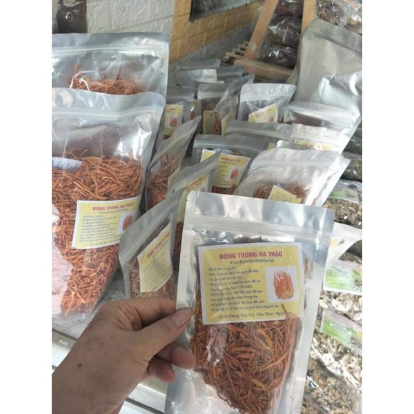 đông trùng hạ thảo gói 100g
