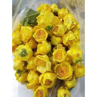 (HÀNG CHÍNH HÃNG)Trà Hoa Vàng Ba Chẽ CODY sấy lạnh (hũ 20g- 100g)
