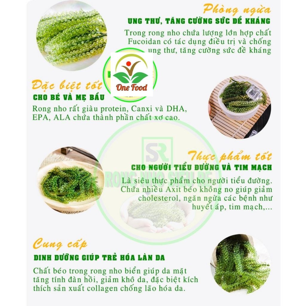 Rong Nho Tươi Tách Nước Khánh Hòa, RONG BIỂN ĂN LIỀN Kèm Sốt Cao Cấp Giàu Dinh Dưỡng, OneFood68