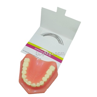Dây cung SS Hàn Quốc vuông - tròn đủ size