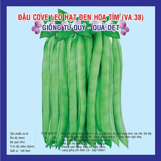 hạt giống đậu cove leo hạt nâu hoa tím gói 50gr
