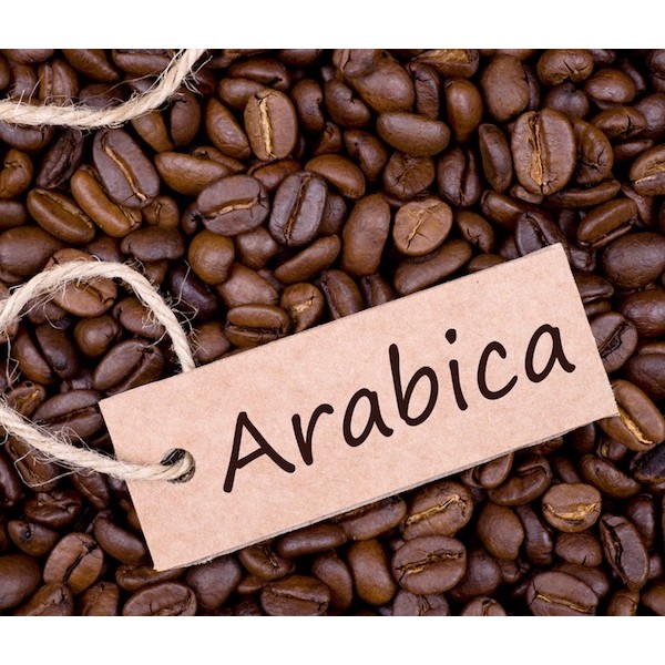 Cà phê nguyên hạt DakMark Arabica Cầu Đất