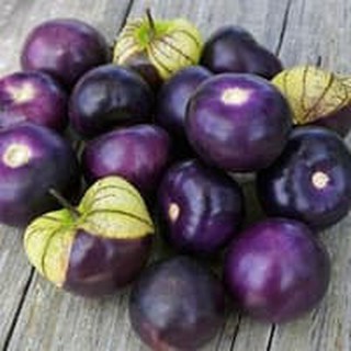 Hạt giống thù lù Tomatillo tím 20h
