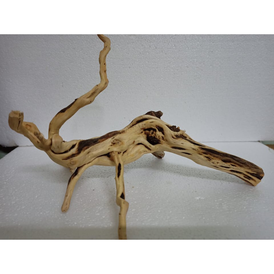 Combo Lũa cho bể thủy sinh cho bể thủy sinh 40cm -50cm