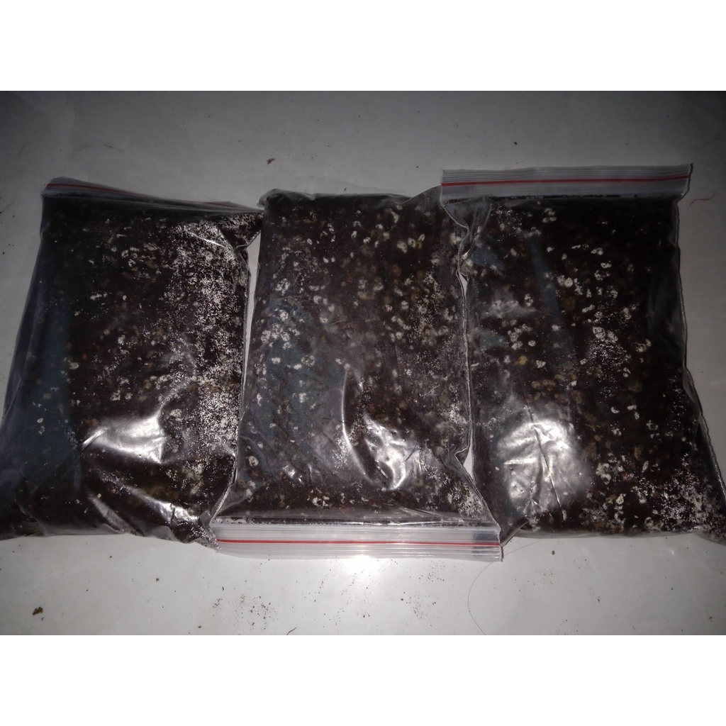 200gr/300gr hỗn hợp đất trồng xương rồng, sen đá chuẩn Havaca