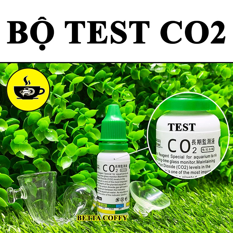 Bộ Kiểm tra Cốc Sủi Co2 trong hồ thuỷ sinh