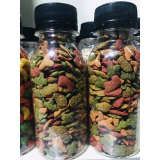 Thức ăn chính cho nhím kiểng dạng chai