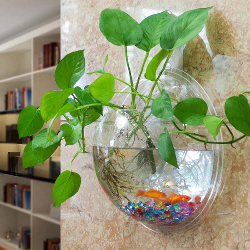 Bể cá treo tường / trồng cây bằng acrylic trang trí nhà đẹp mắt