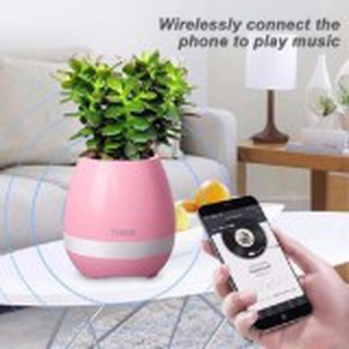 Loa trồng cây phát nhạc, kết nối Bluetooth V3.1 - Hàng Nhập Khẩu