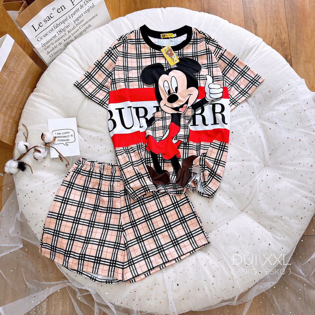 Bộ Ngủ Pijama Bigsize Thun Lạnh 3D Cao Cấp Tay Ngắn Quần Đùi Họa Tiết Hoạt Hình Dễ Thương