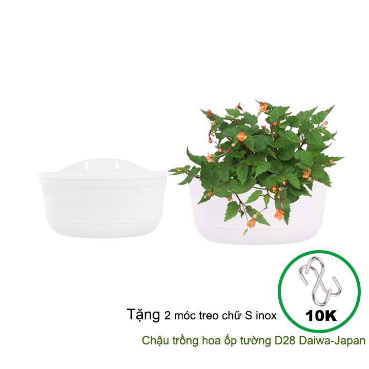 Bộ 2 Chậu nhựa trồng hoa Nhật Bản, Daiwa, D28xR16xC13cm, tặng kèm 4 móc inox, độ bền 5 năm |Greenhome