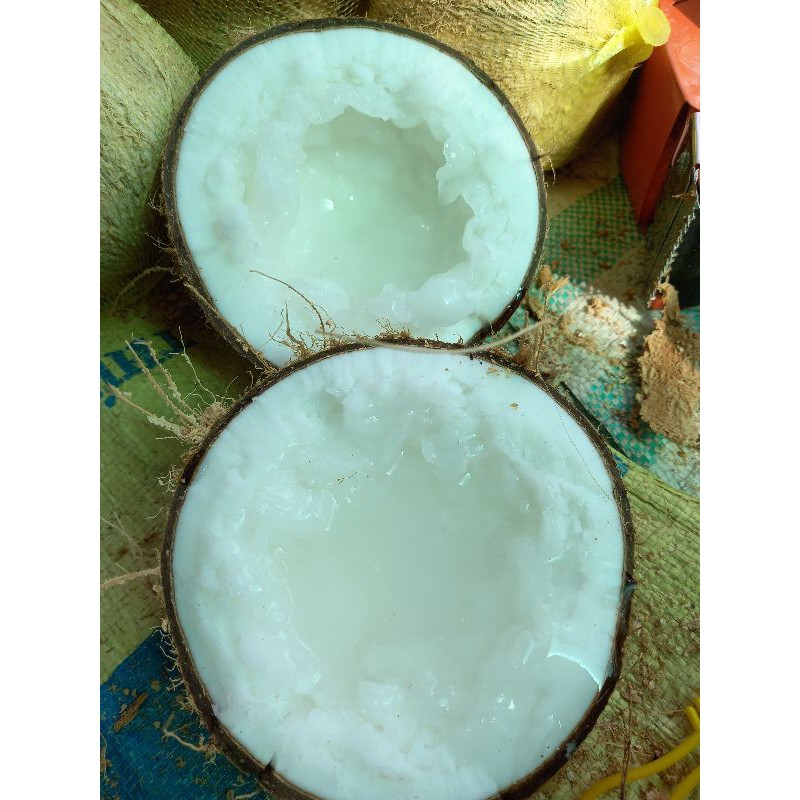 Combo 4 trái đặc biệt và 2 cây giống