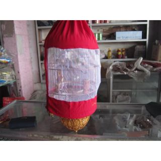Áo lồng chim khuyên