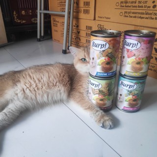 thức ăn pate mèo Burp Ba tê lon mèo 370g 10 vị