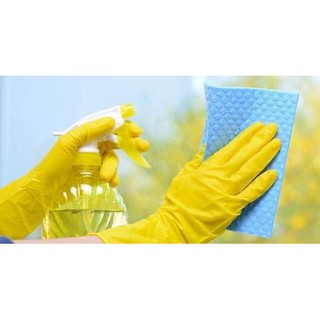 Khăn lau đa năng Profissimo của Đức D13