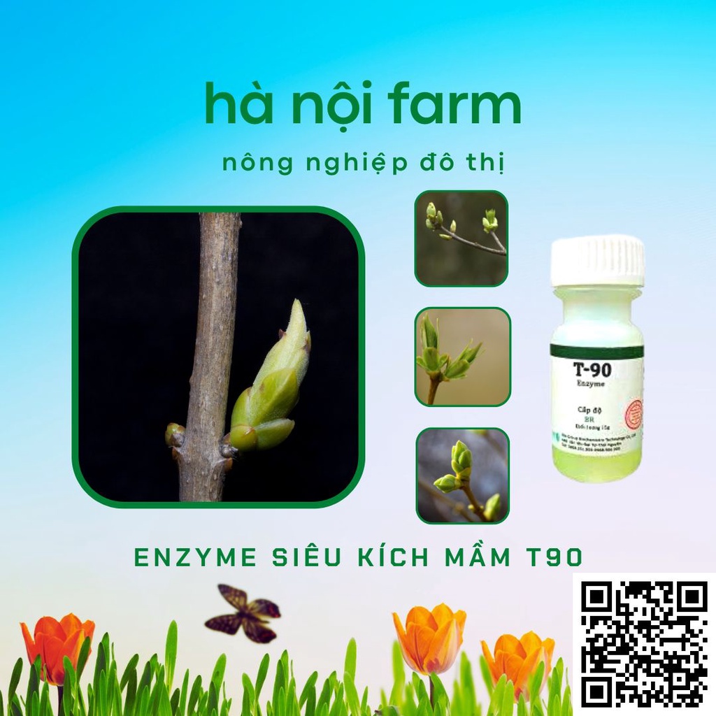 Thuốc Kích mầm T90 chính hãng, kích mầm theo ý muốn, bật mầm tua tủa, cam kết hiệu quả 100%