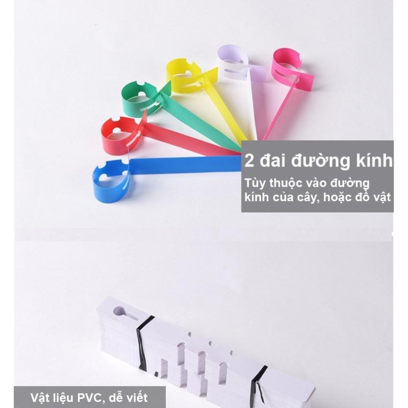 100 Thẻ nhựa ghi tên cây, đánh dấu đồ vật (màu ngẫu nhiên)