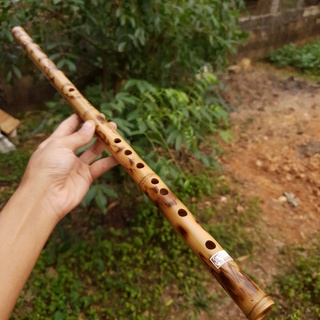 Sáo trúc mạc phong trung cấp và cao cấp - dòng sáo đẹp độc lạ