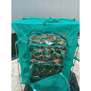 [Hàng Việt Nam] Lồng phơi khô 247 - Chống côn trùng, Bảo đảm an toàn vệ sinh thực phẩm - 3 tầng - 45x45x60cm