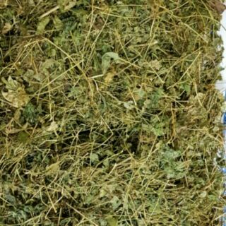 Trà giảo cổ lam hà giang 1kg