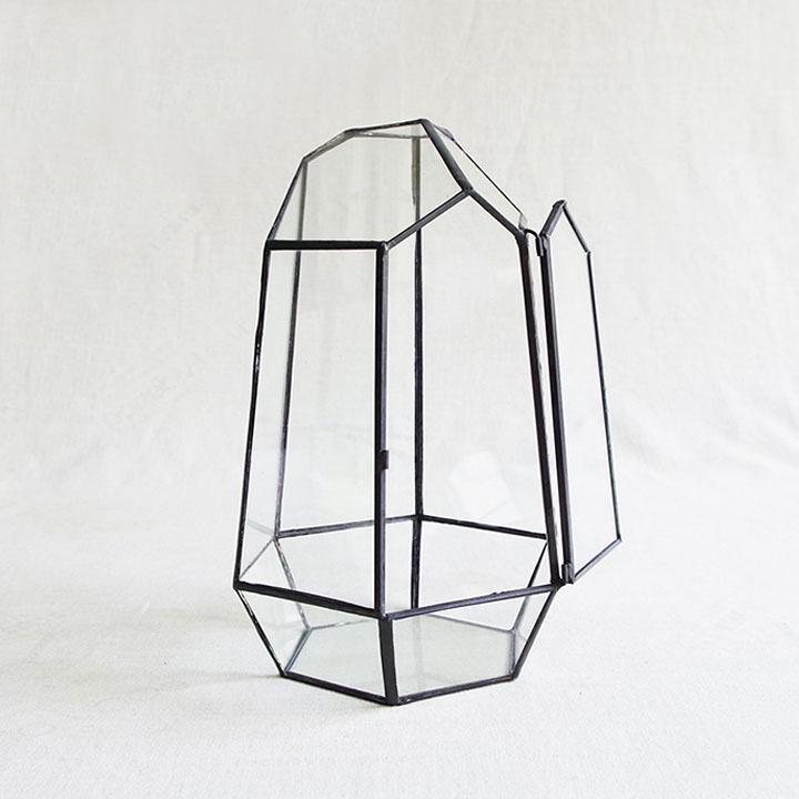 Hộp Kính Trồng Cây Cảnh Decor - Hộp Trồng Cây Cảnh Tiện Ích