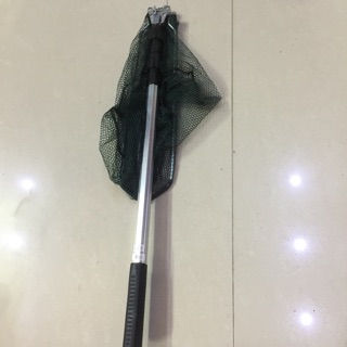 Vợt vớt cá