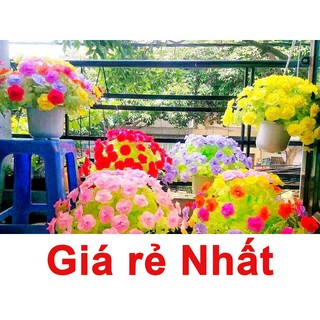 Bộ Nguyên Liệu Hoa Giấy Lụa Ngũ Sắc