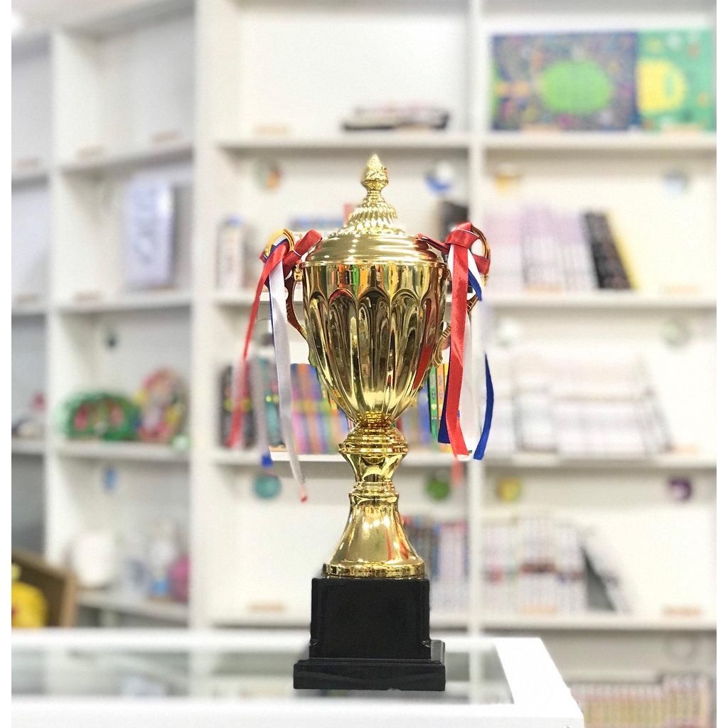 Cup bóng đá/ Cup thể thao dành cho đội vô địch