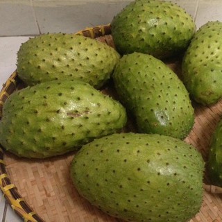 Hạt giống mãng cầu xiêm trái 2 ký rưỡi ngọt ngất ngây nhà làm ( bán lẻ )