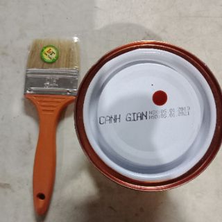 Sơn màu gỗ
