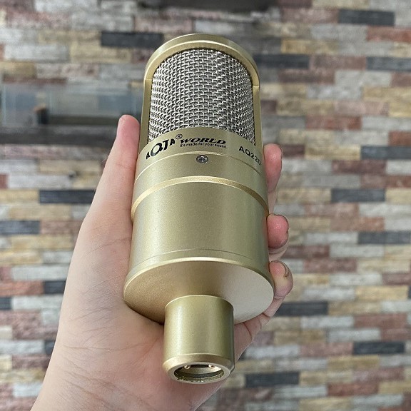 [GIÁ TỐT] Micro Thu Âm AQTA AQ 220 - Micro Hát Karaoke - Livestream Cao Cấp (Giao màu ngẫu nhiên)