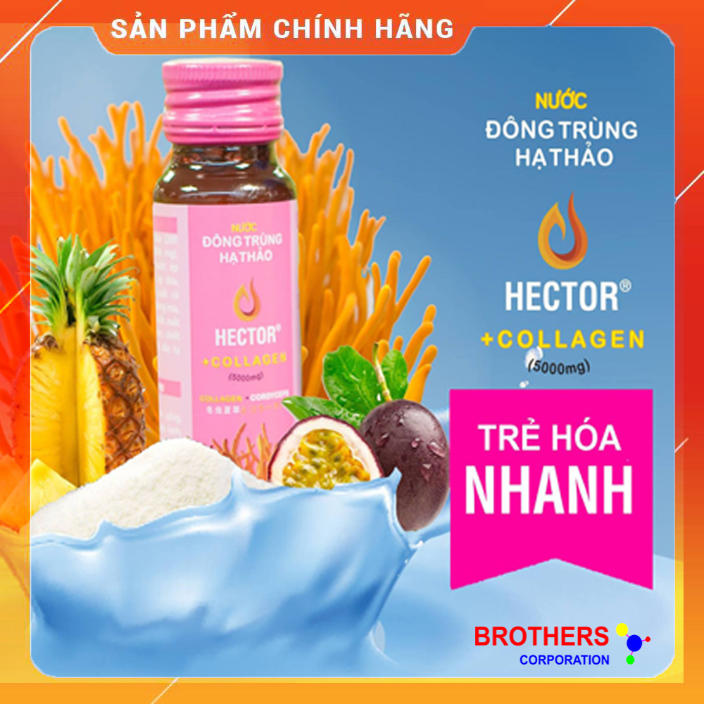 [Chính hãng] Nước Đông Trùng Hạ Thảo Hector Collagen (Hộp 10 chai x 50ml)