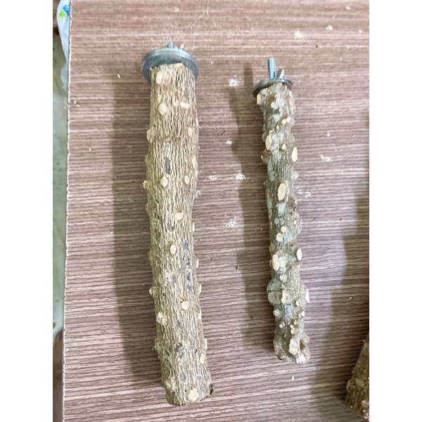 Cầu mài móng cho vẹt màu ngẫu nhiên.