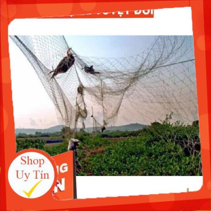 Lưới Bẫy Chim Cu Gáy Gà Đồng Lưới Đánh Chim 30m Cao 5 m Mắt Lưới 8cm Hàng Thái Lan Đủ Size