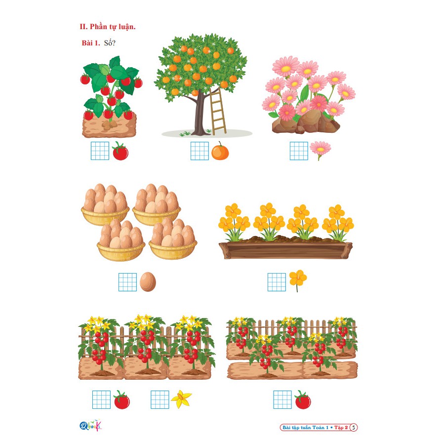 Sách - Bài Tập Tuần Toán 1 - Kết Nối Tri Thức - Tập 2 (1 cuốn)