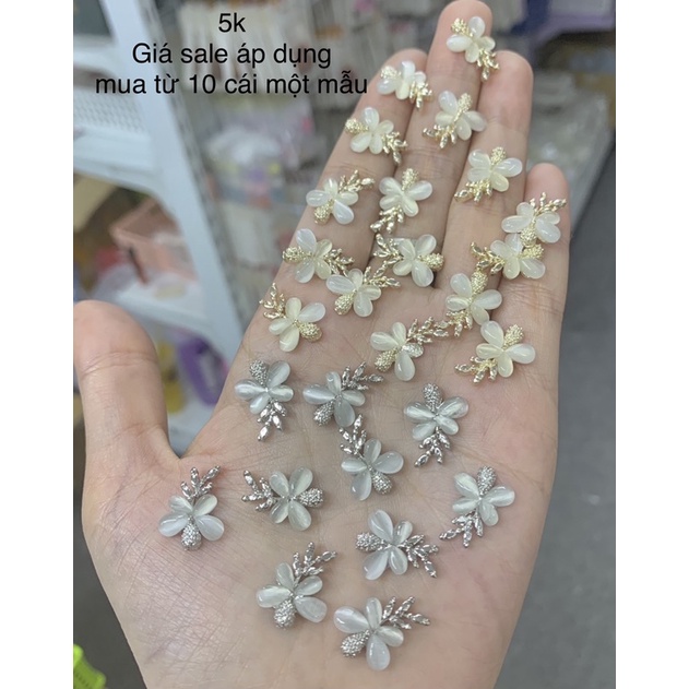 Cham hình đính móng