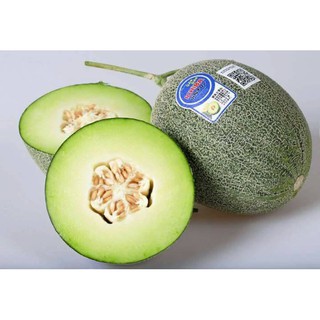 Hạt giống Dưa lưới xanh