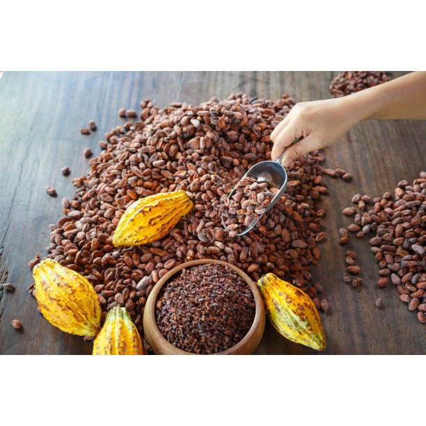 CACAO 😍 VIETSOUL - LINH HỒN CACAO VIỆT