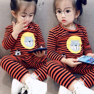 Combo sỉ  Bộ cotton len 1-6 tuổi