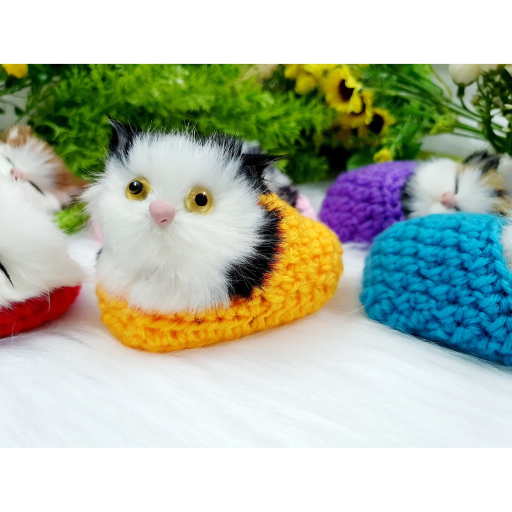 Mèo nằm trong chiếc dép siêu dễ thương đan len rất đẹp ( Hình Thật - Video Thật )