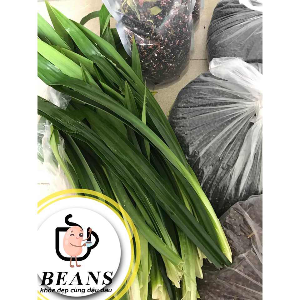 Trà gạo lứt, đậu đen xanh lòng hạt nhỏ, đậu đỏ rang organic BEANS