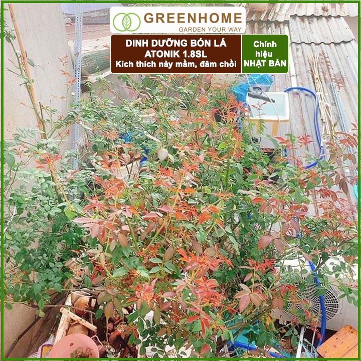 Bộ 5 Chế phẩm kích thích sinh trưởng cây trồng Atonik, gói 10ml,  chuyên hoa Lan, hoa Hồng, cây cảnh |Greenhome