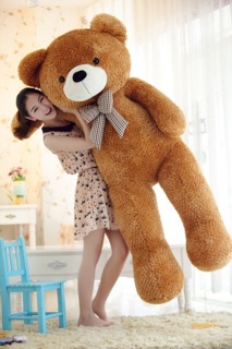 Xả gấu teddy giá rẻ
