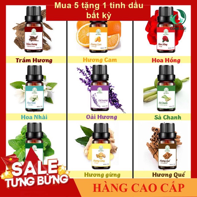 Đèn Xông Tinh Dầu + Tặng 1 Lọ Tinh Dầu 10ml